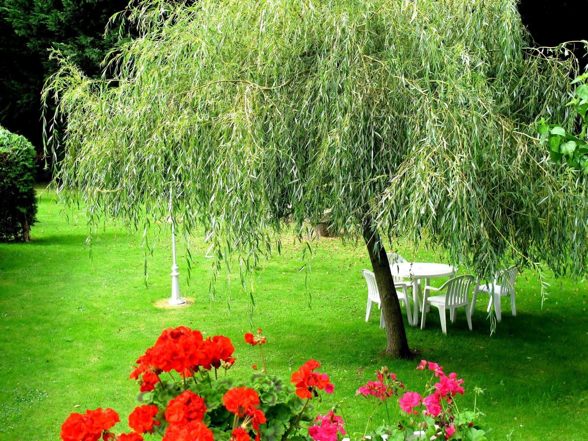 Logis Deshors-Foujanet Hotel Chamboulive Bagian luar foto